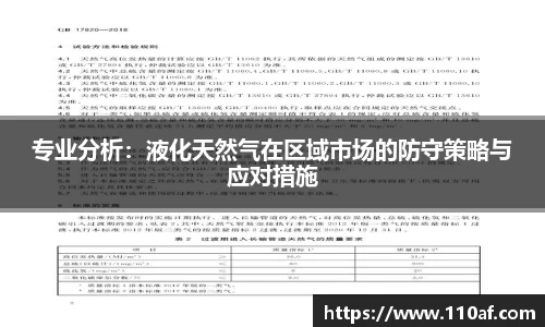 专业分析：液化天然气在区域市场的防守策略与应对措施